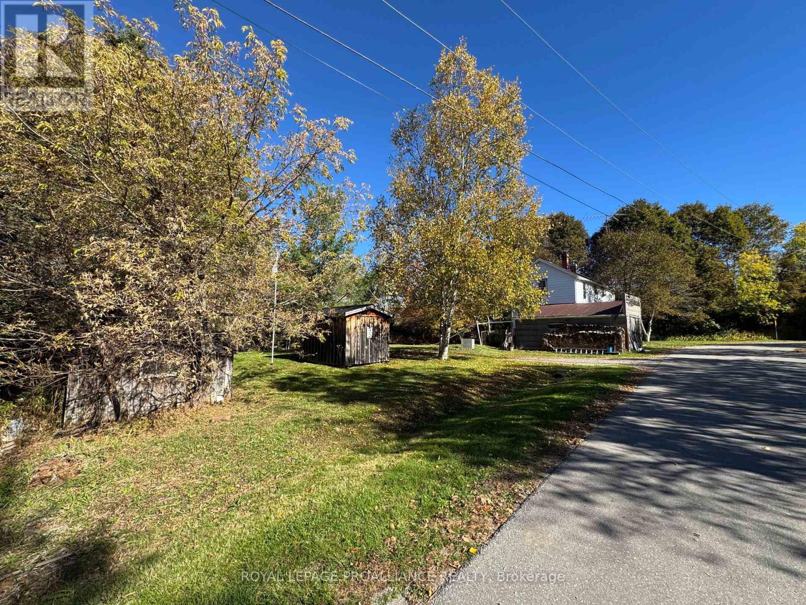 3 Gore Street, Kawartha Lakes, Ontario  L0A 1A0 - Photo 29 - X12474153