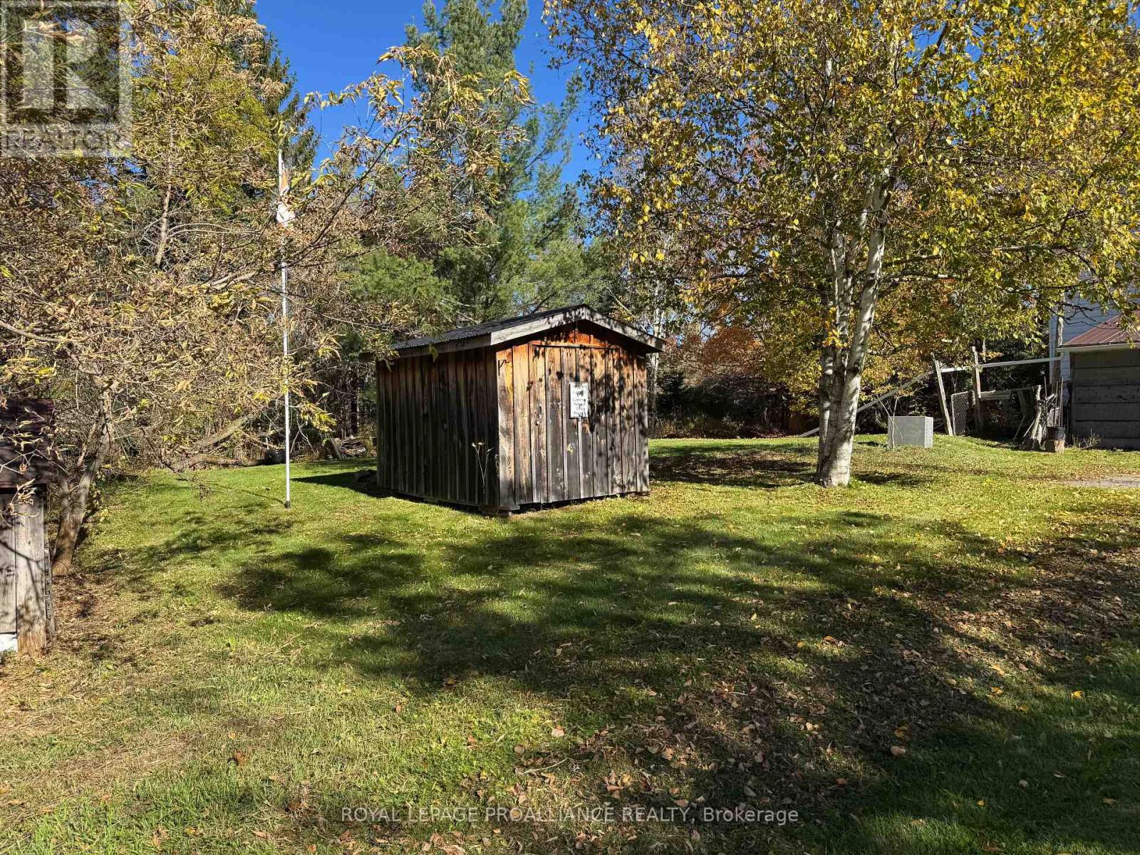 3 Gore Street, Kawartha Lakes, Ontario  L0A 1A0 - Photo 30 - X12474153
