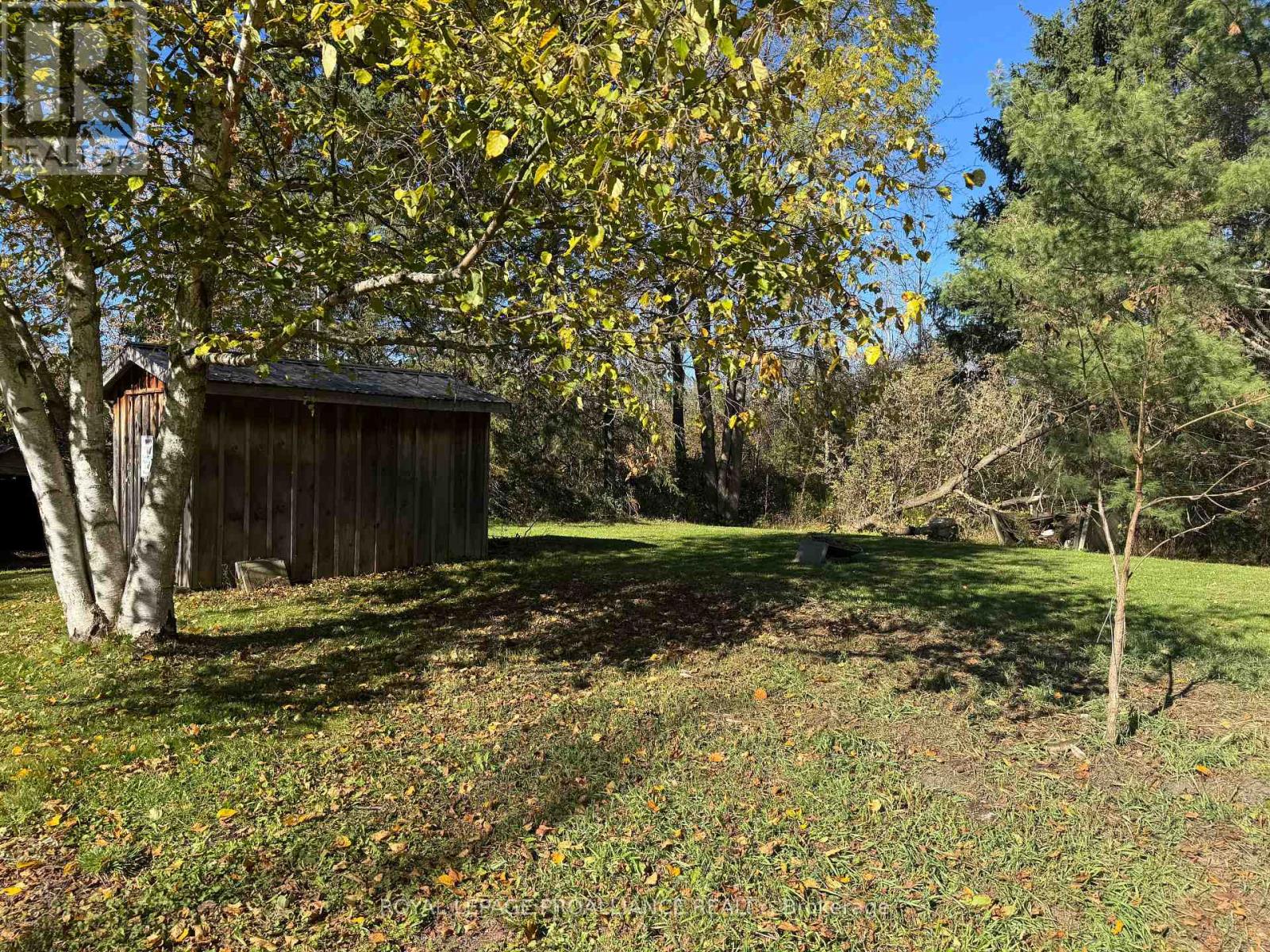 3 Gore Street, Kawartha Lakes, Ontario  L0A 1A0 - Photo 31 - X12474153