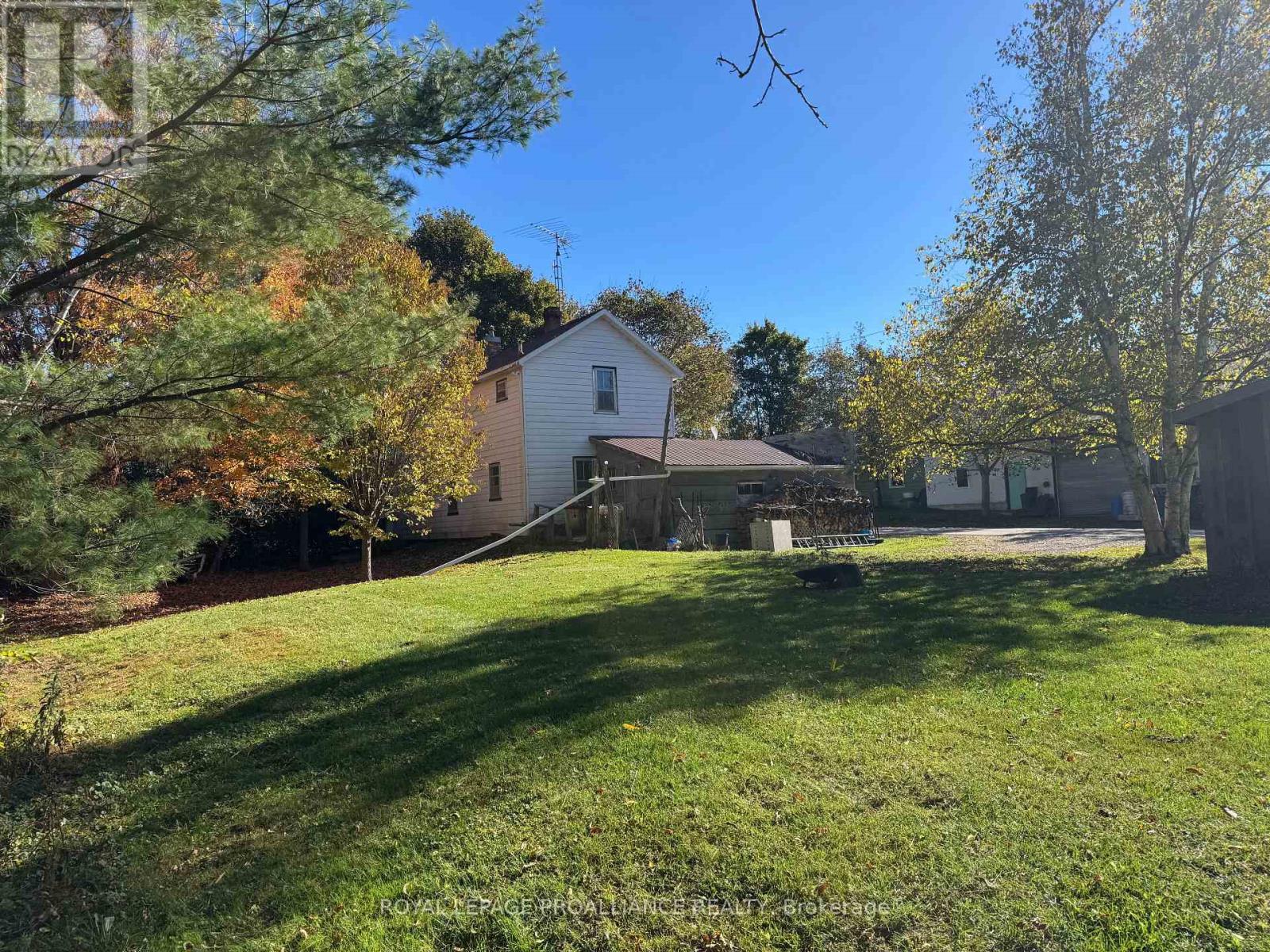 3 Gore Street, Kawartha Lakes, Ontario  L0A 1A0 - Photo 33 - X12474153