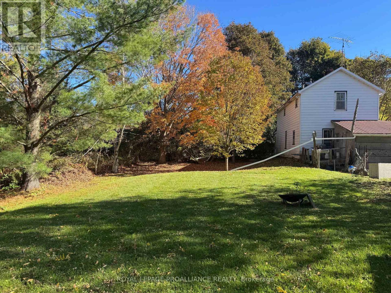 3 Gore Street, Kawartha Lakes, Ontario  L0A 1A0 - Photo 34 - X12474153