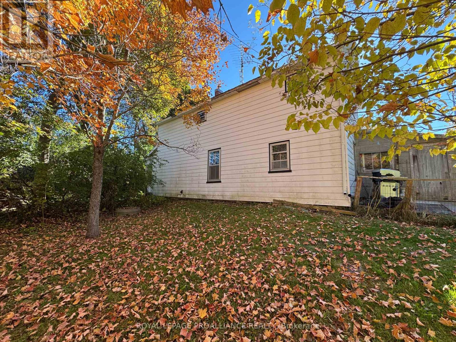 3 Gore Street, Kawartha Lakes, Ontario  L0A 1A0 - Photo 6 - X12474153