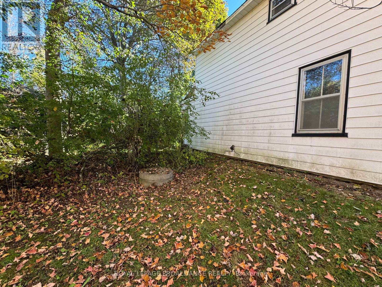 3 Gore Street, Kawartha Lakes, Ontario  L0A 1A0 - Photo 7 - X12474153