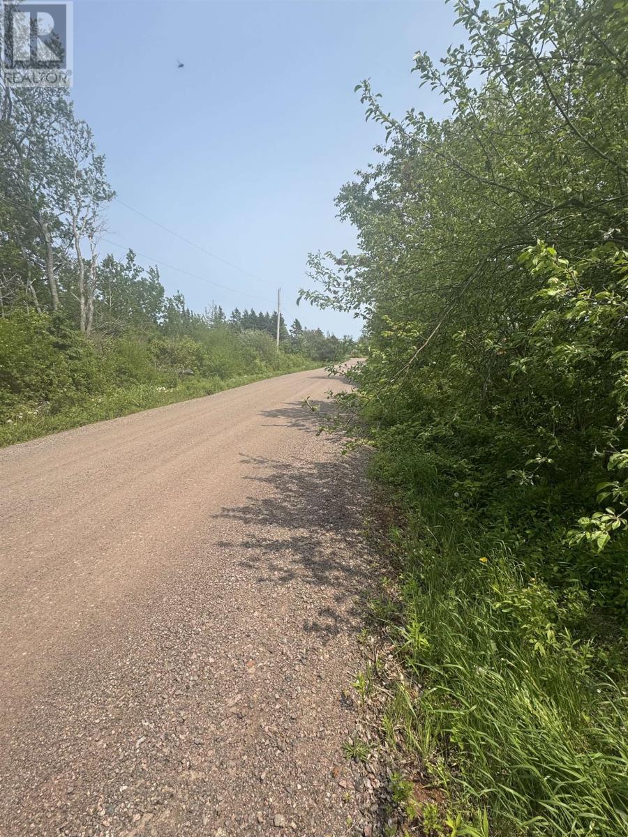Lot Macgillvary Road, Blooming Point, Prince Edward Island  C0A 1T0 - Photo 3 - 202526277