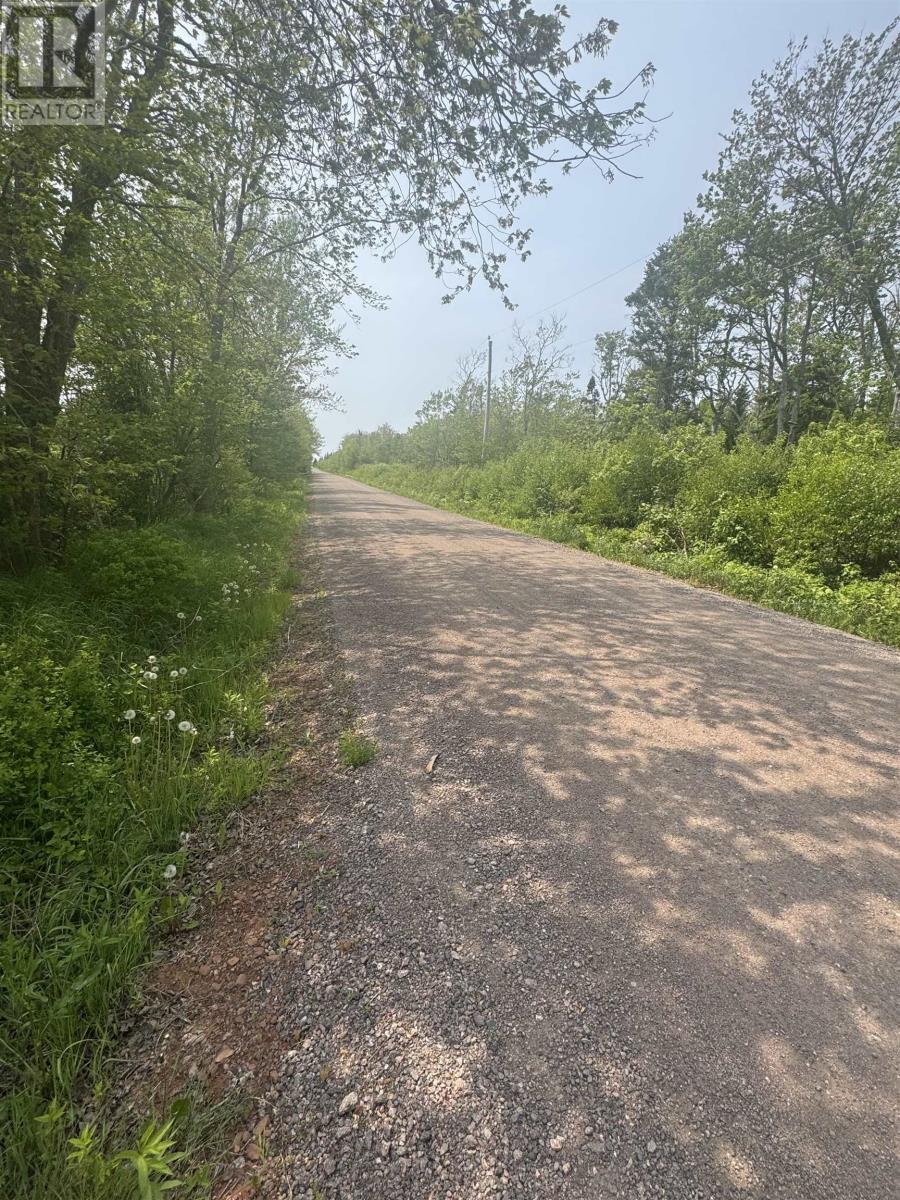 Lot Macgillvary Road, Blooming Point, Prince Edward Island  C0A 1T0 - Photo 4 - 202526277