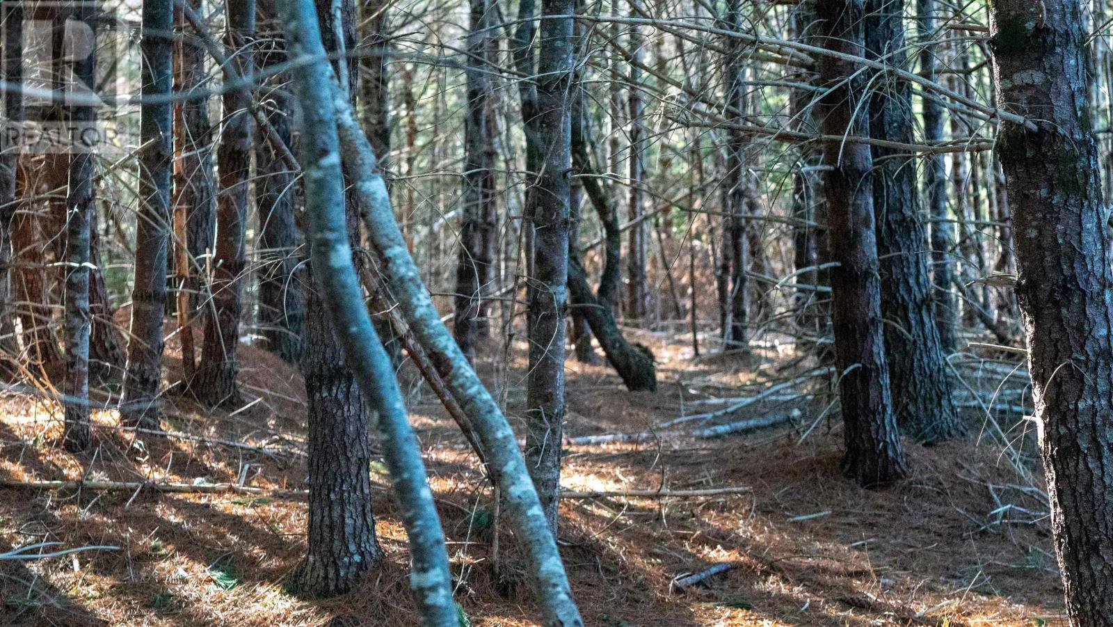 Lot Ss-1 Maple Drive, Lower Ohio, Nova Scotia  B0T 1W0 - Photo 11 - 202508651