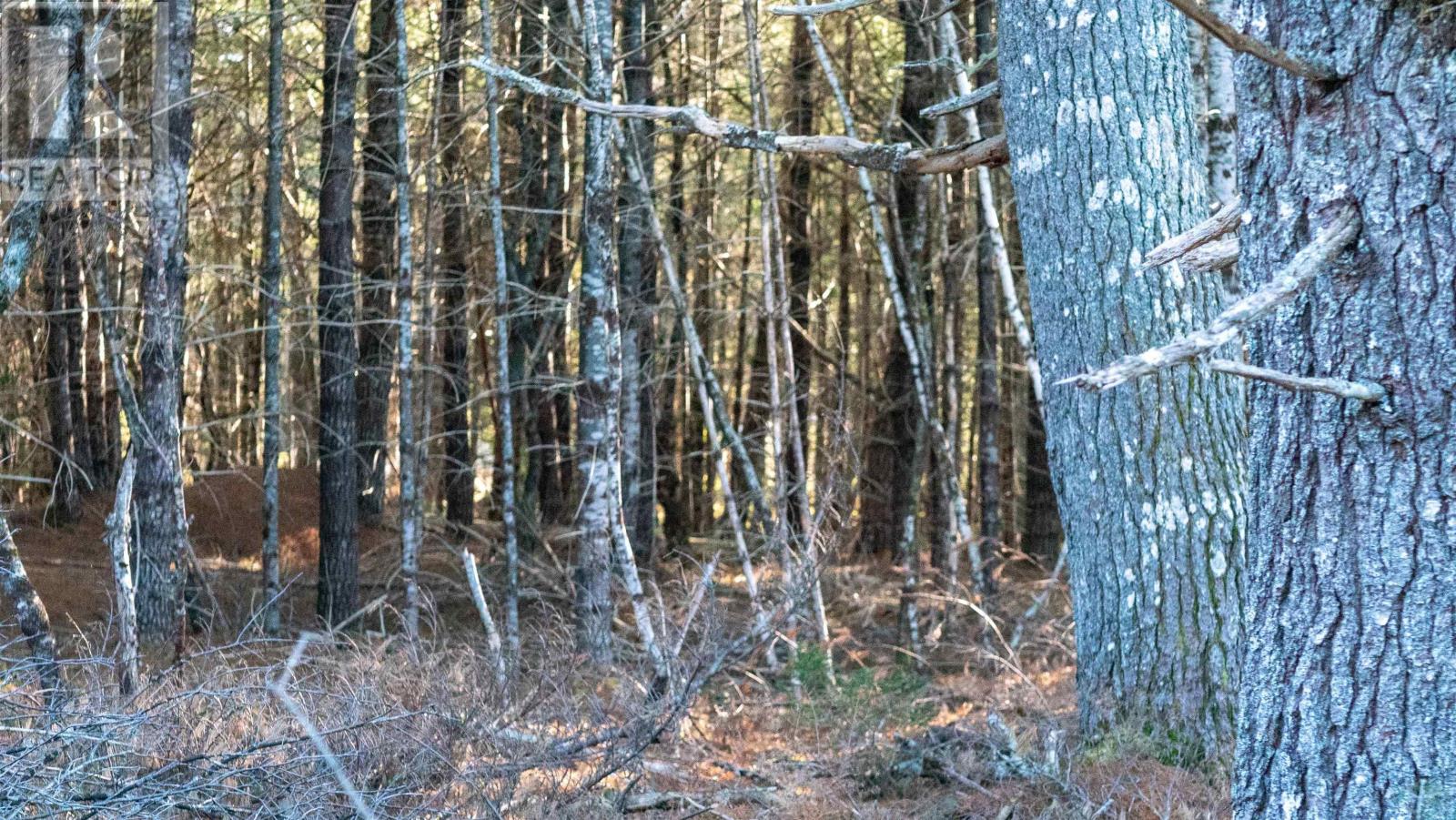 Lot Ss-1 Maple Drive, Lower Ohio, Nova Scotia  B0T 1W0 - Photo 15 - 202508651