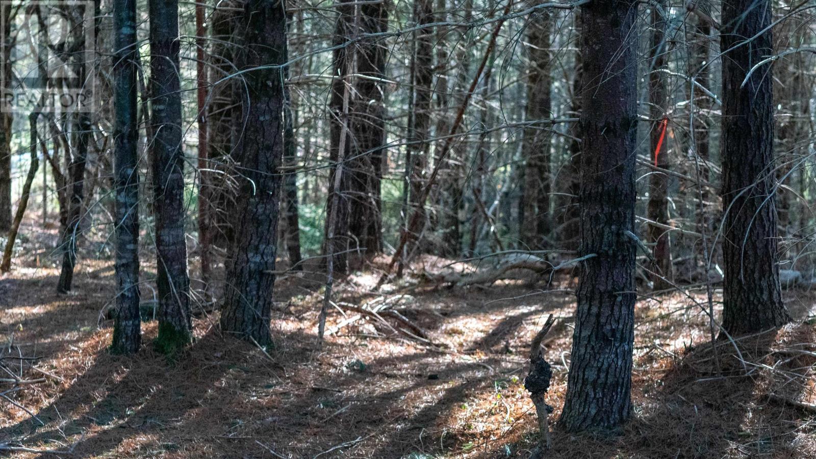 Lot Ss-1 Maple Drive, Lower Ohio, Nova Scotia  B0T 1W0 - Photo 13 - 202508651