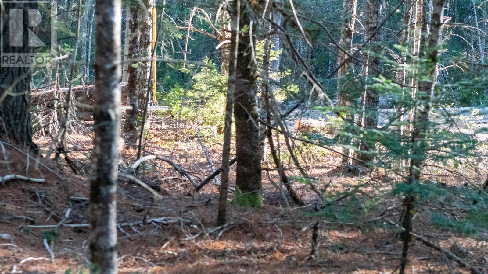 Lot Ss-1 Maple Drive, Lower Ohio, Nova Scotia  B0T 1W0 - Photo 19 - 202508651