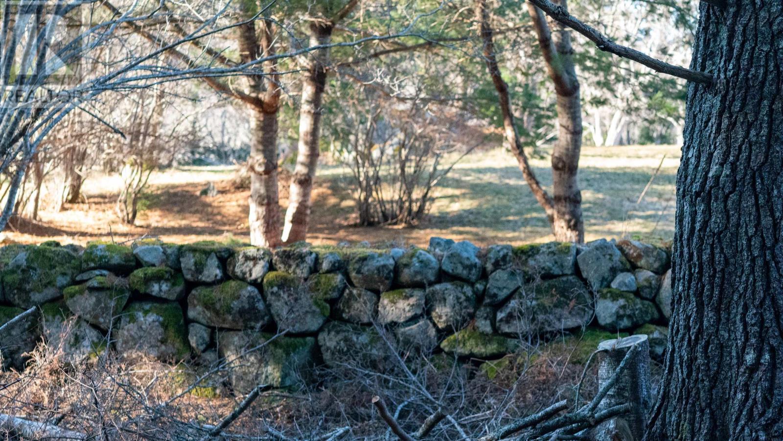 Lot Ss-1 Maple Drive, Lower Ohio, Nova Scotia  B0T 1W0 - Photo 20 - 202508651