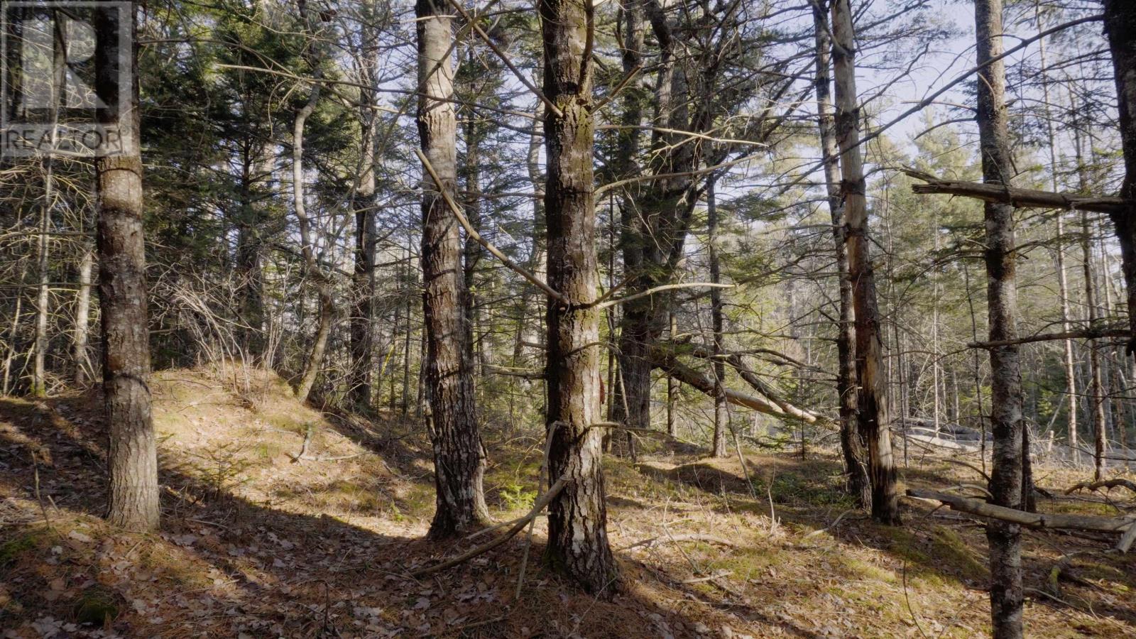 Lot Ss-1 Maple Drive, Lower Ohio, Nova Scotia  B0T 1W0 - Photo 26 - 202508651