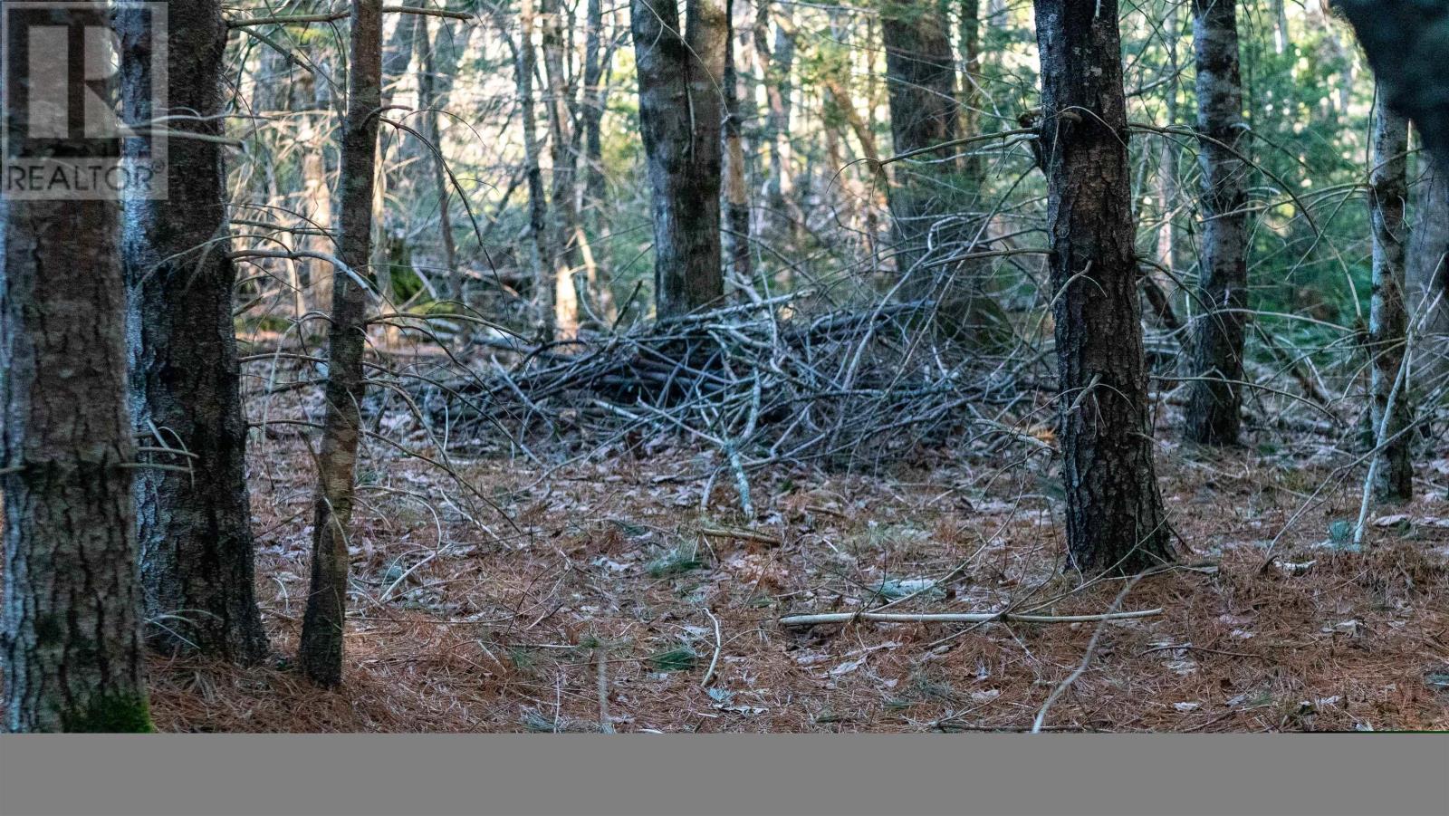 Lot Ss-1 Maple Drive, Lower Ohio, Nova Scotia  B0T 1W0 - Photo 10 - 202508651