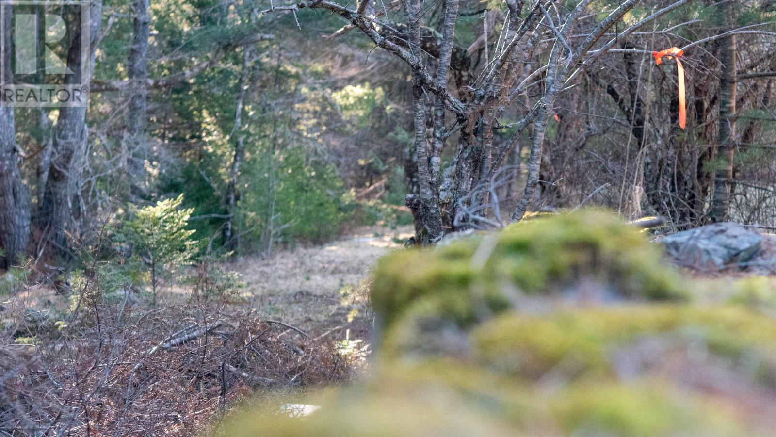 Lot Ss-1 Maple Drive, Lower Ohio, Nova Scotia  B0T 1W0 - Photo 16 - 202508651