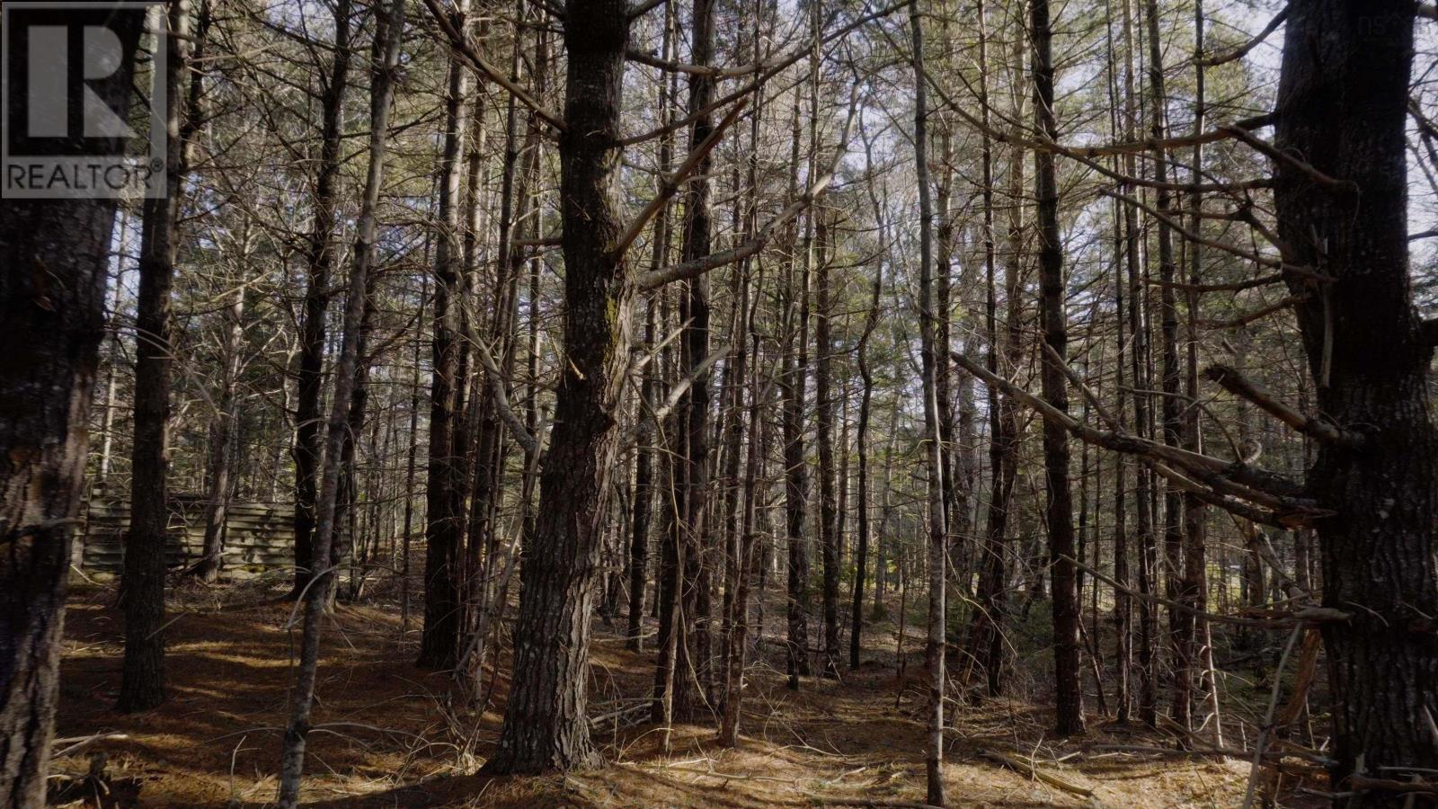 Lot Ss-1 Maple Drive, Lower Ohio, Nova Scotia  B0T 1W0 - Photo 25 - 202508651