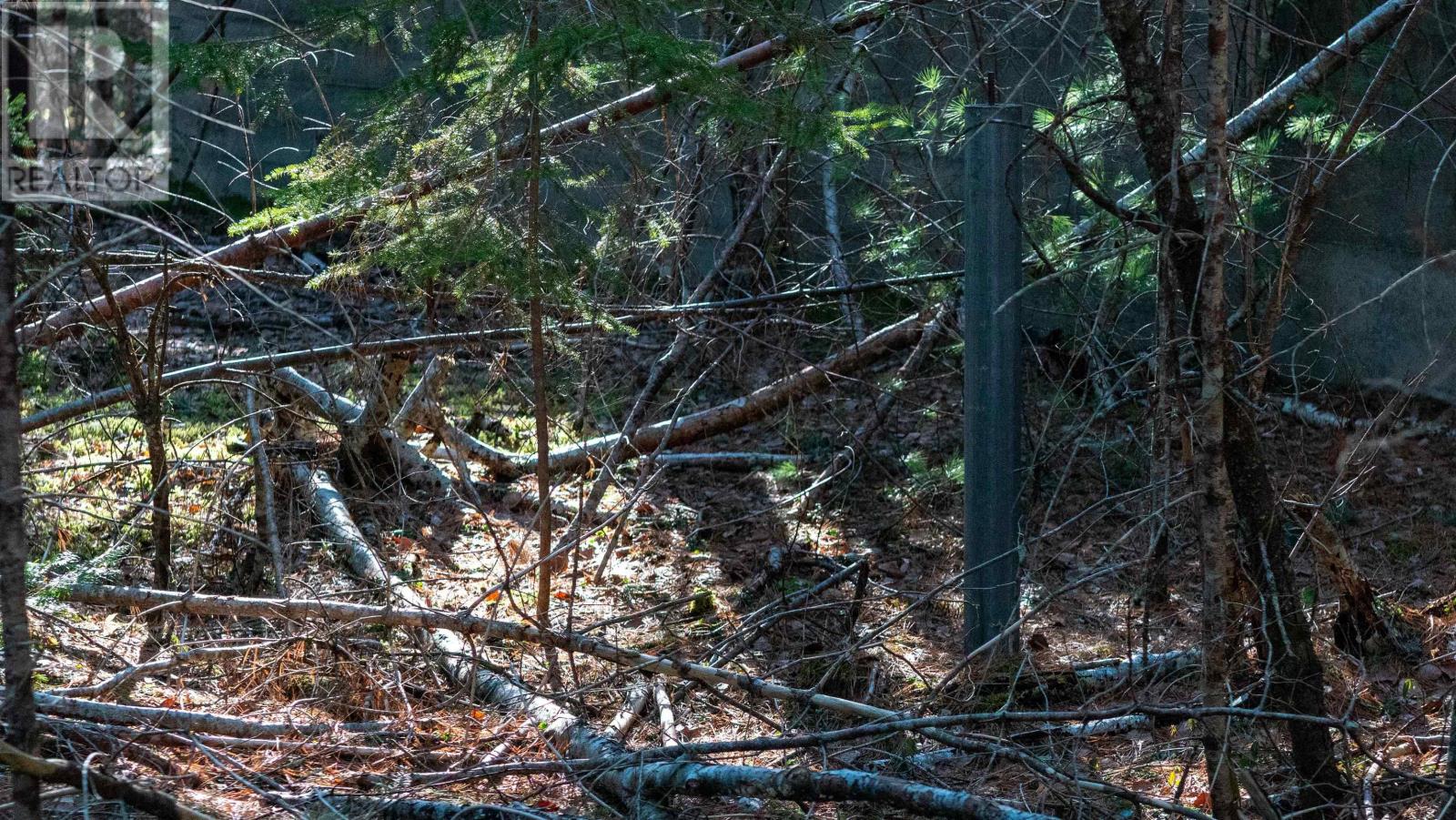 Lot Ss-1 Maple Drive, Lower Ohio, Nova Scotia  B0T 1W0 - Photo 6 - 202508651