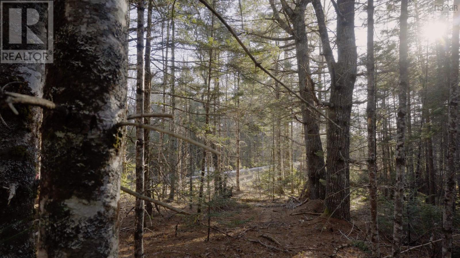 Lot Ss-1 Maple Drive, Lower Ohio, Nova Scotia  B0T 1W0 - Photo 27 - 202508651