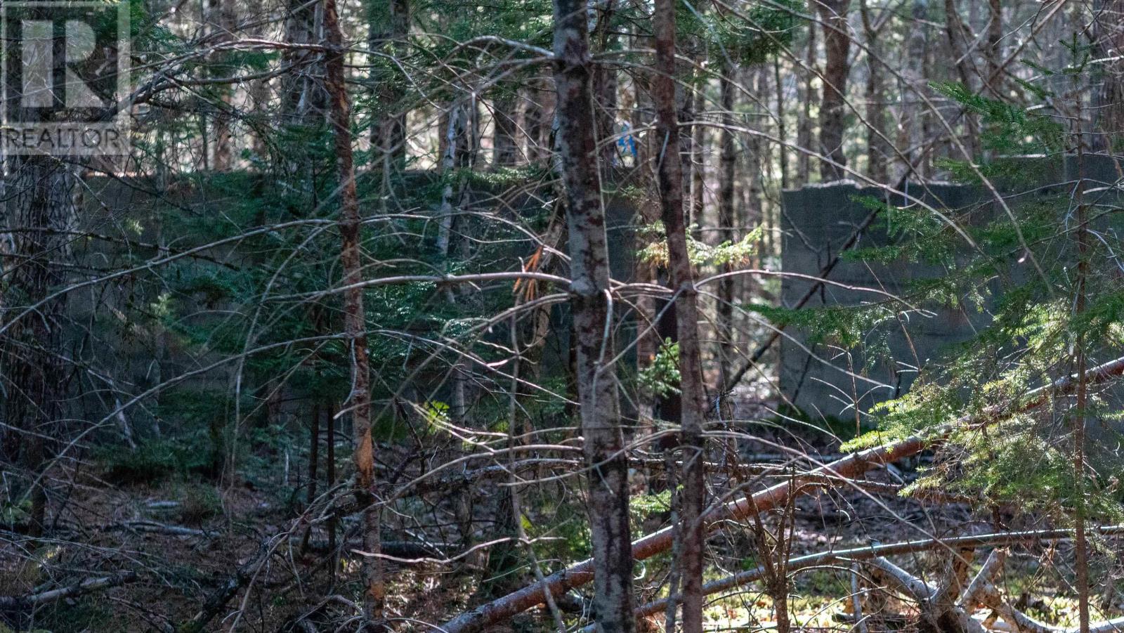 Lot Ss-1 Maple Drive, Lower Ohio, Nova Scotia  B0T 1W0 - Photo 7 - 202508651