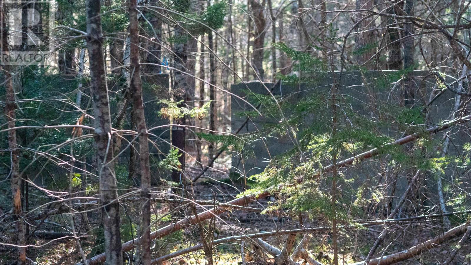 Lot Ss-1 Maple Drive, Lower Ohio, Nova Scotia  B0T 1W0 - Photo 8 - 202508651