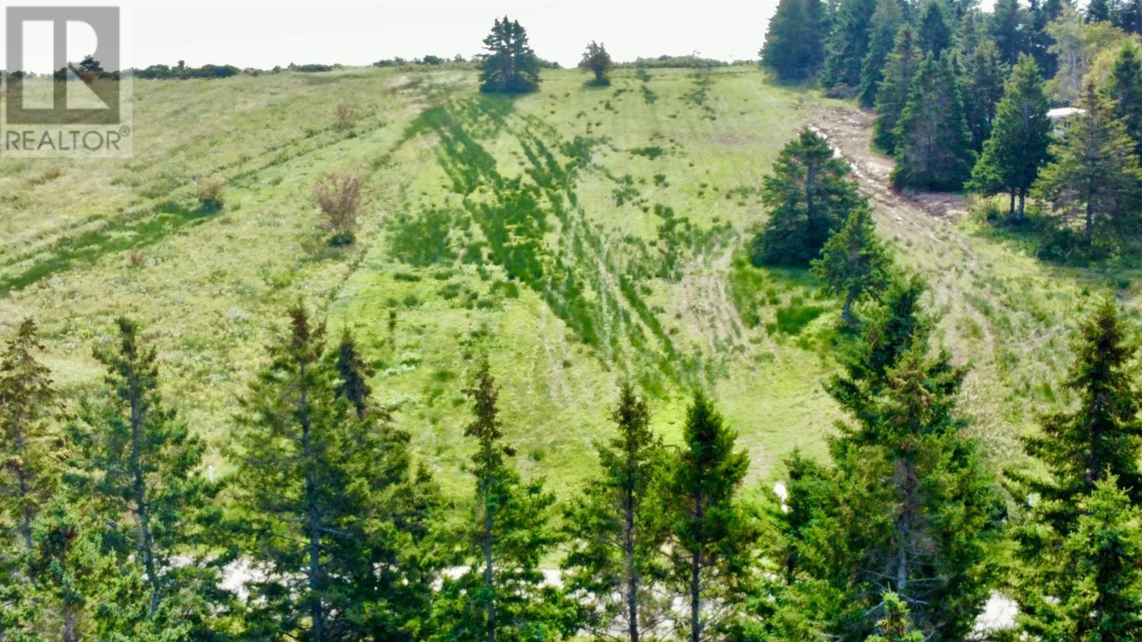 Lot 7 Pictou Island Road, Pictou Island, Nova Scotia  B0K 1J0 - Photo 7 - 202509354