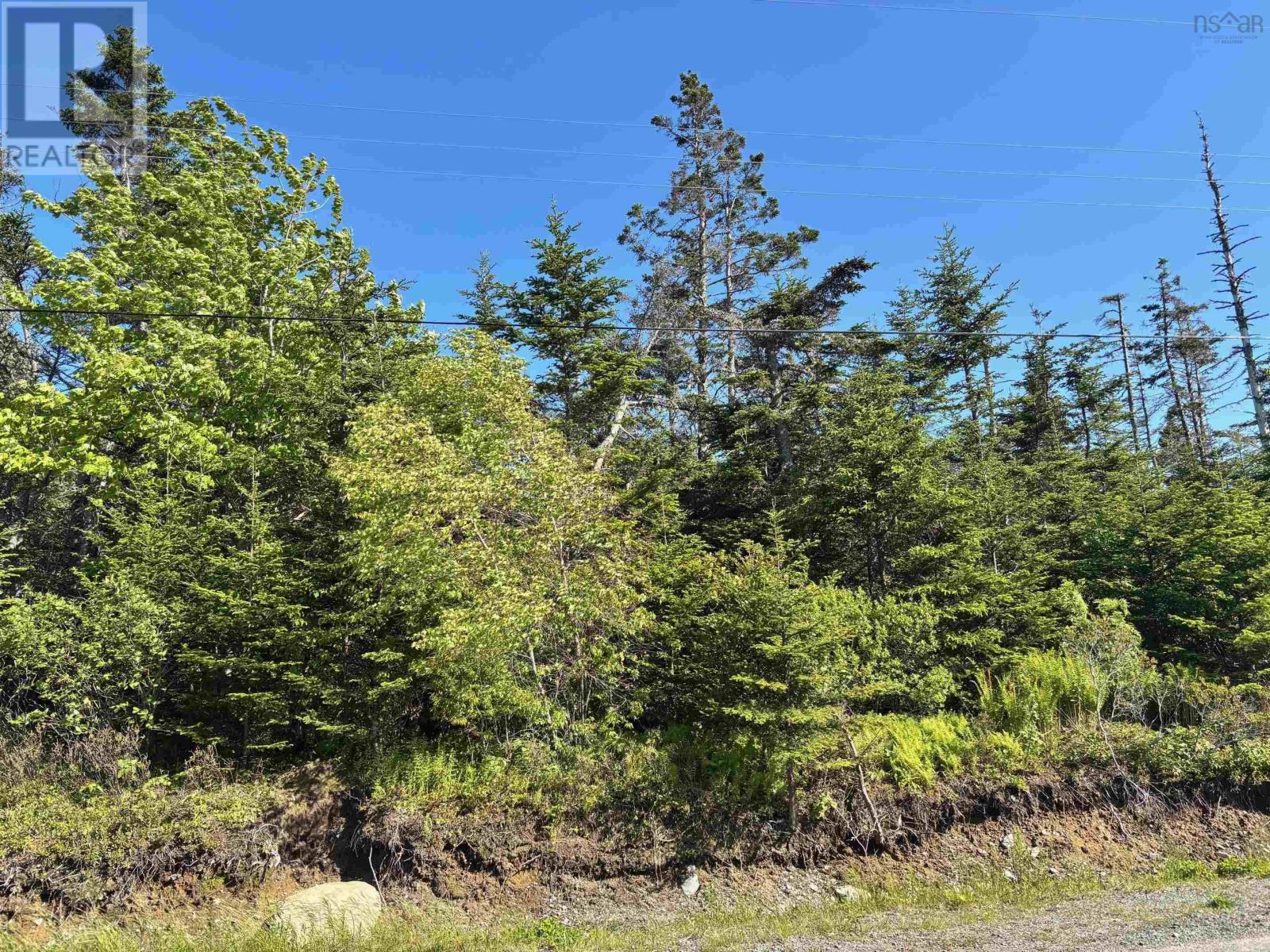 Lot Mushaboom Road, Mushaboom, Nova Scotia  B0J 3H0 - Photo 3 - 202514907