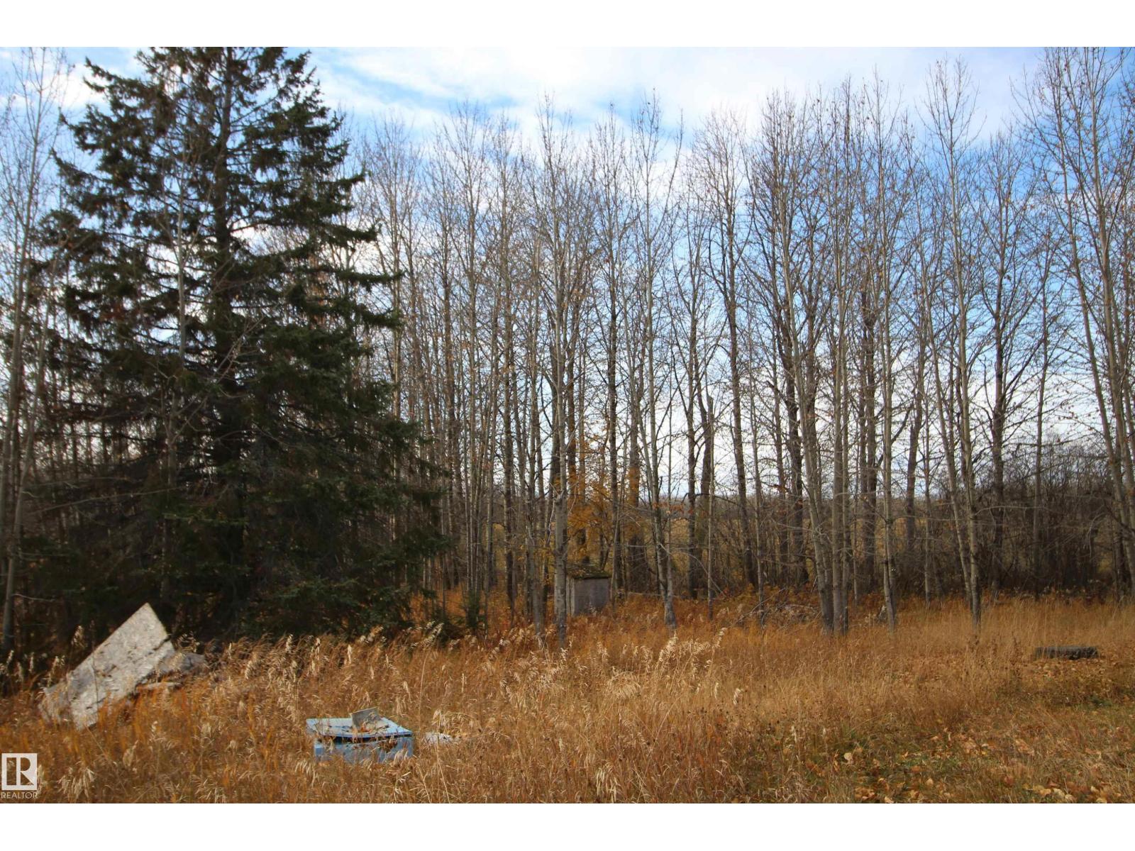64430 Rg Rd 265, Rural Westlock County, Alberta  T0G 0Y0 - Photo 22 - E4462951