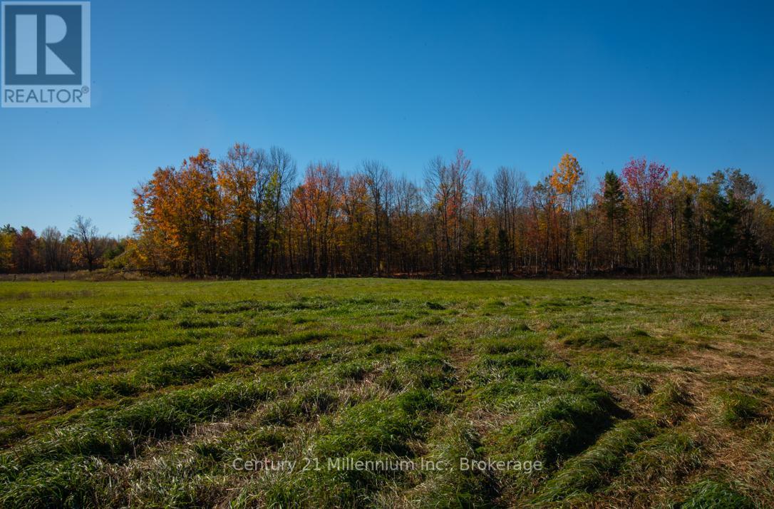 6989 Con B/c Road, Ramara, Ontario  L3V 0K7 - Photo 48 - S12409341