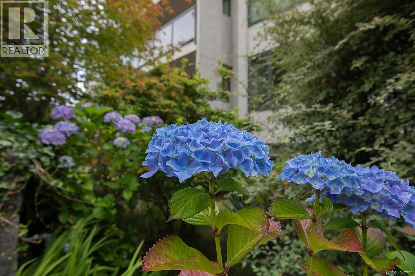 305 1151 Oscar St, Victoria, British Columbia V8V 2X5 - Photo 12 - 1017780