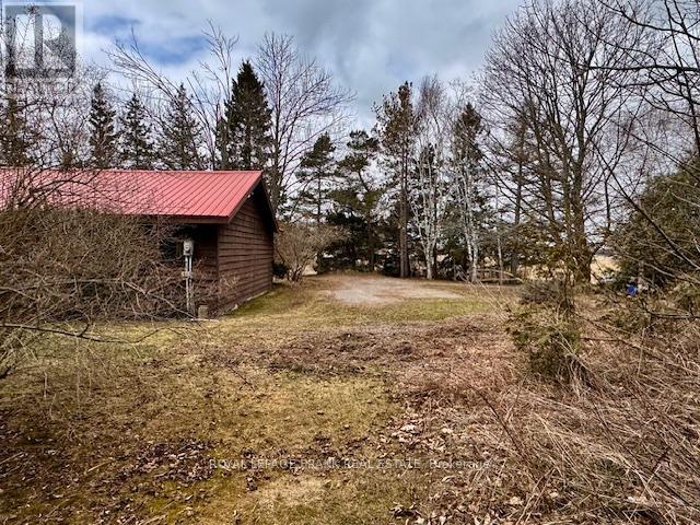 3725 Concession 1 Road, Clarington, Ontario  L1B 0G1 - Photo 12 - E12474356