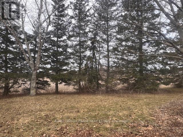 3725 Concession 1 Road, Clarington, Ontario  L1B 0G1 - Photo 15 - E12474356