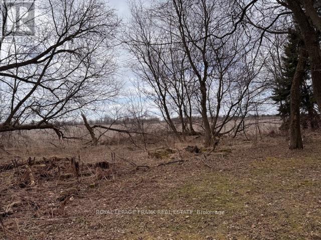 3725 Concession 1 Road, Clarington, Ontario  L1B 0G1 - Photo 21 - E12474356
