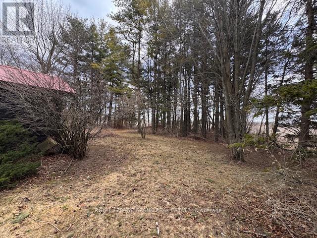3725 Concession 1 Road, Clarington, Ontario  L1B 0G1 - Photo 5 - E12474356