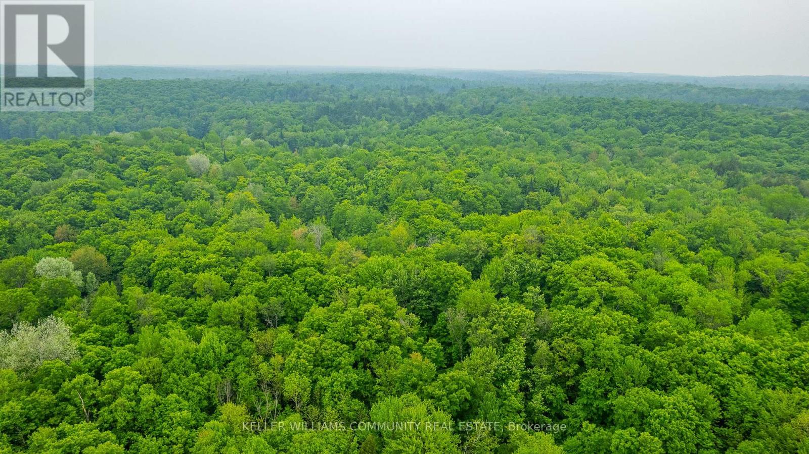 1304 Lower Monmouth Lake Road, Highlands East, Ontario  K0L 2Y0 - Photo 18 - X12474451