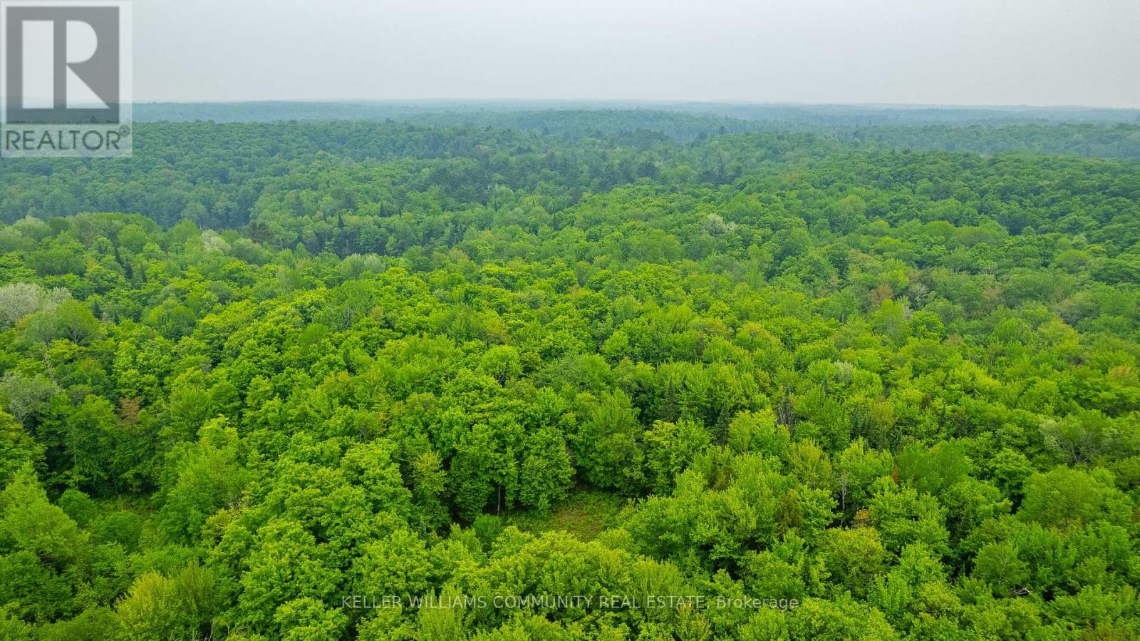 1304 Lower Monmouth Lake Road, Highlands East, Ontario  K0L 2Y0 - Photo 19 - X12474451
