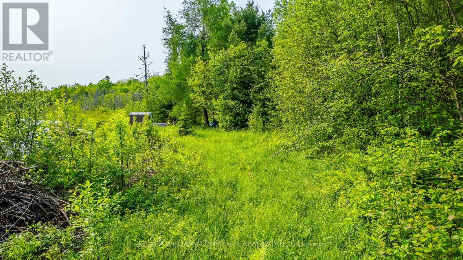 1304 Lower Monmouth Lake Road, Highlands East, Ontario  K0L 2Y0 - Photo 47 - X12474451