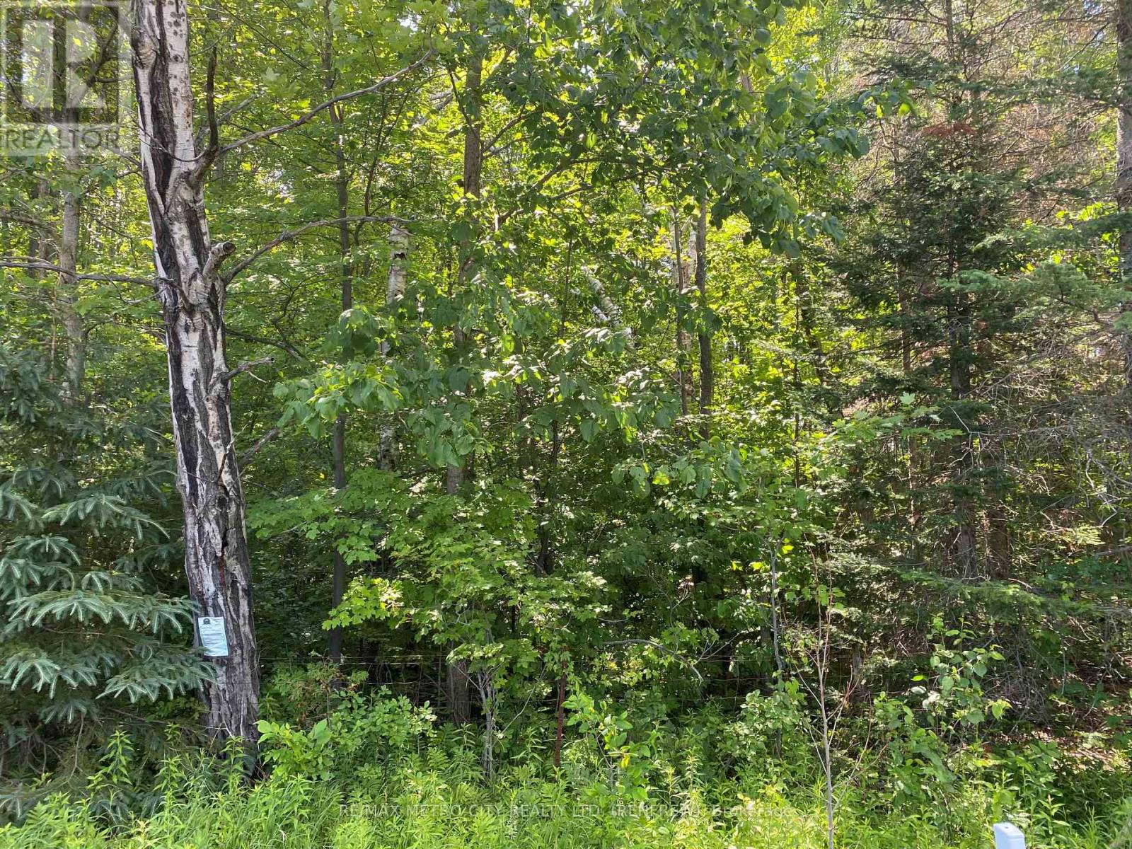 0 Storyland Road, Horton, Ontario K7V 3Z8 - Photo 8 - X12265376