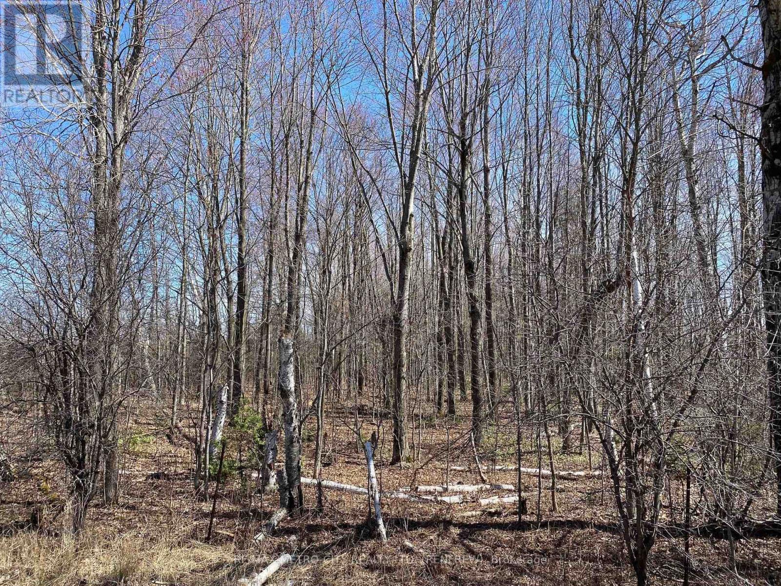 0 Storyland Road, Horton, Ontario  K7V 3Z8 - Photo 10 - X12265376