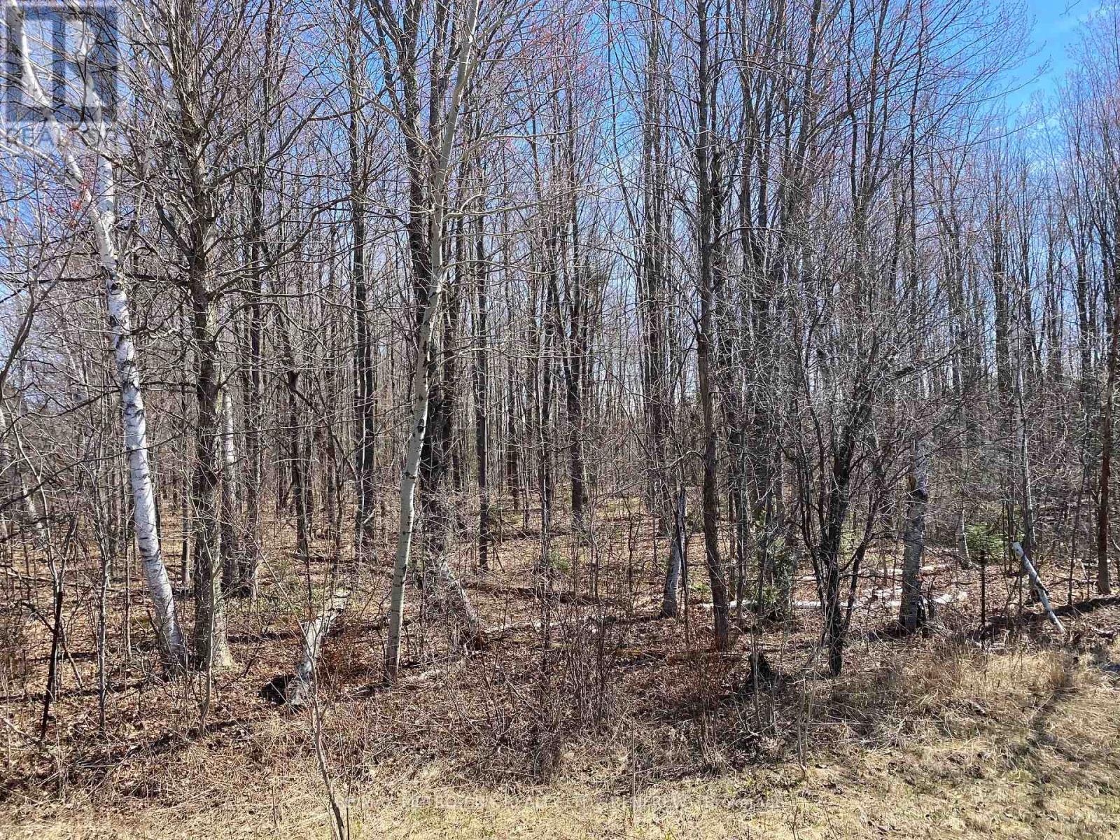 0 Storyland Road, Horton, Ontario  K7V 3Z8 - Photo 11 - X12265376