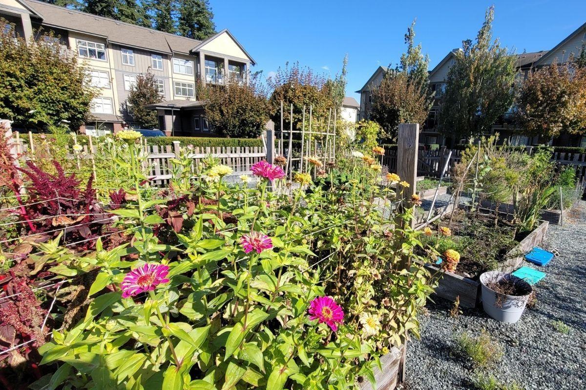 507 2855 156 Street, Surrey, British Columbia  V3S 0C7 - Photo 32 - R3060279