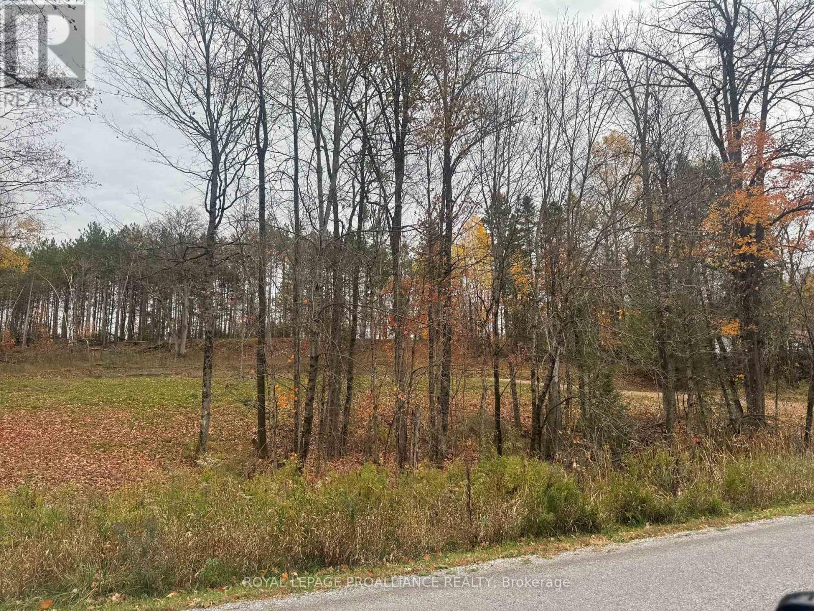 1054 Centre Line Road, Marmora And Lake, Ontario  K0K 2M0 - Photo 26 - X12315863