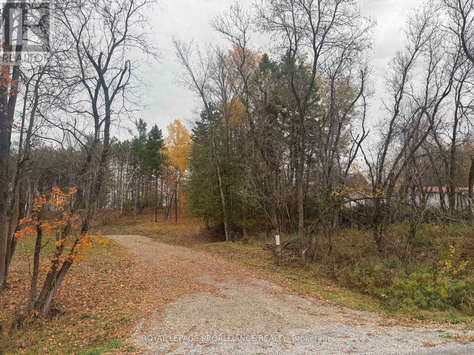 1054 Centre Line Road, Marmora And Lake, Ontario  K0K 2M0 - Photo 27 - X12315863