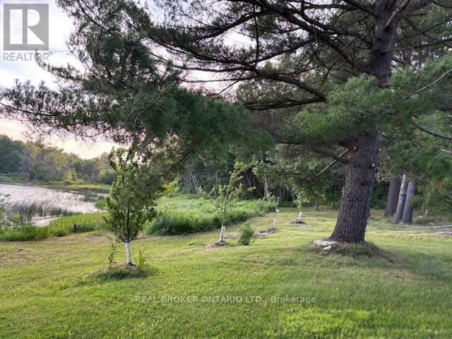 121 Rattlebear Drive, The Archipelago, Ontario  P0G 1K0 - Photo 40 - X12474478