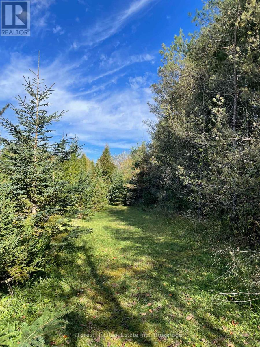 504097 Grey Road 12, West Grey, Ontario  N0C 1H0 - Photo 22 - X12391545