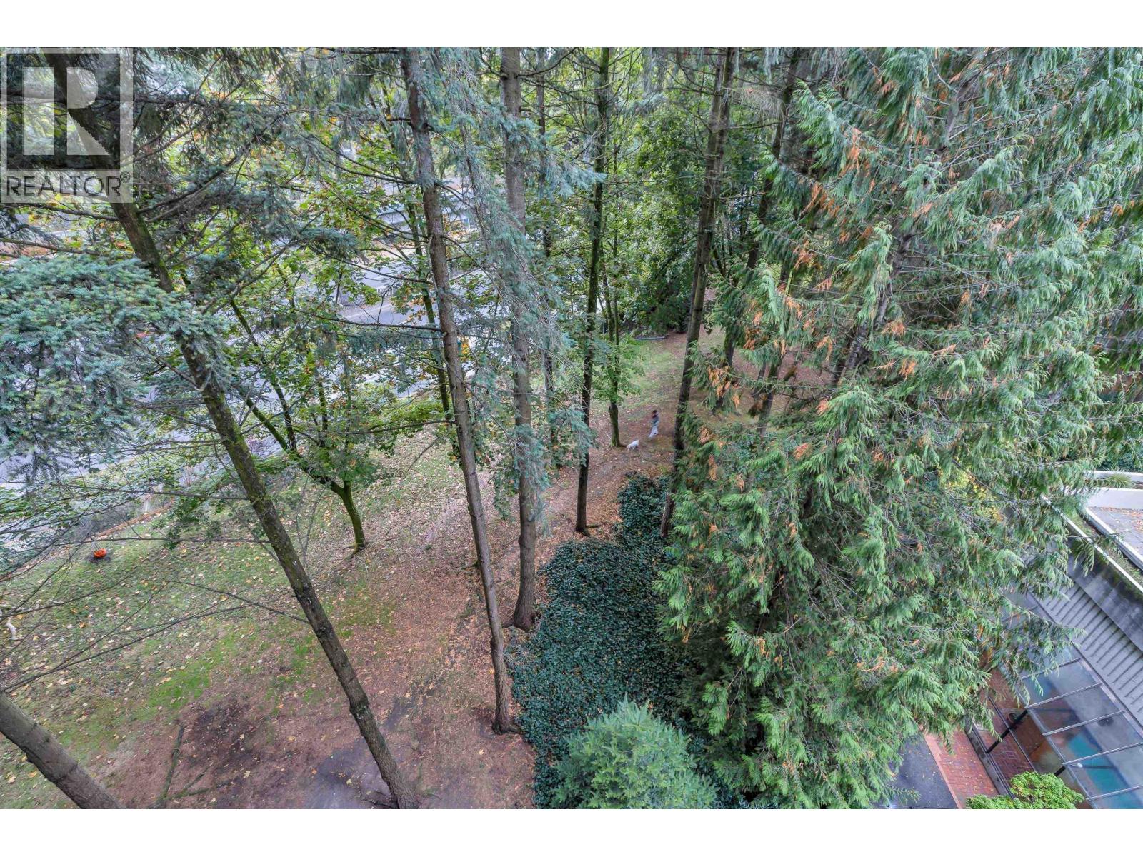 501 3771 Bartlett Court, Burnaby, British Columbia  V3J 7G8 - Photo 31 - R3060533