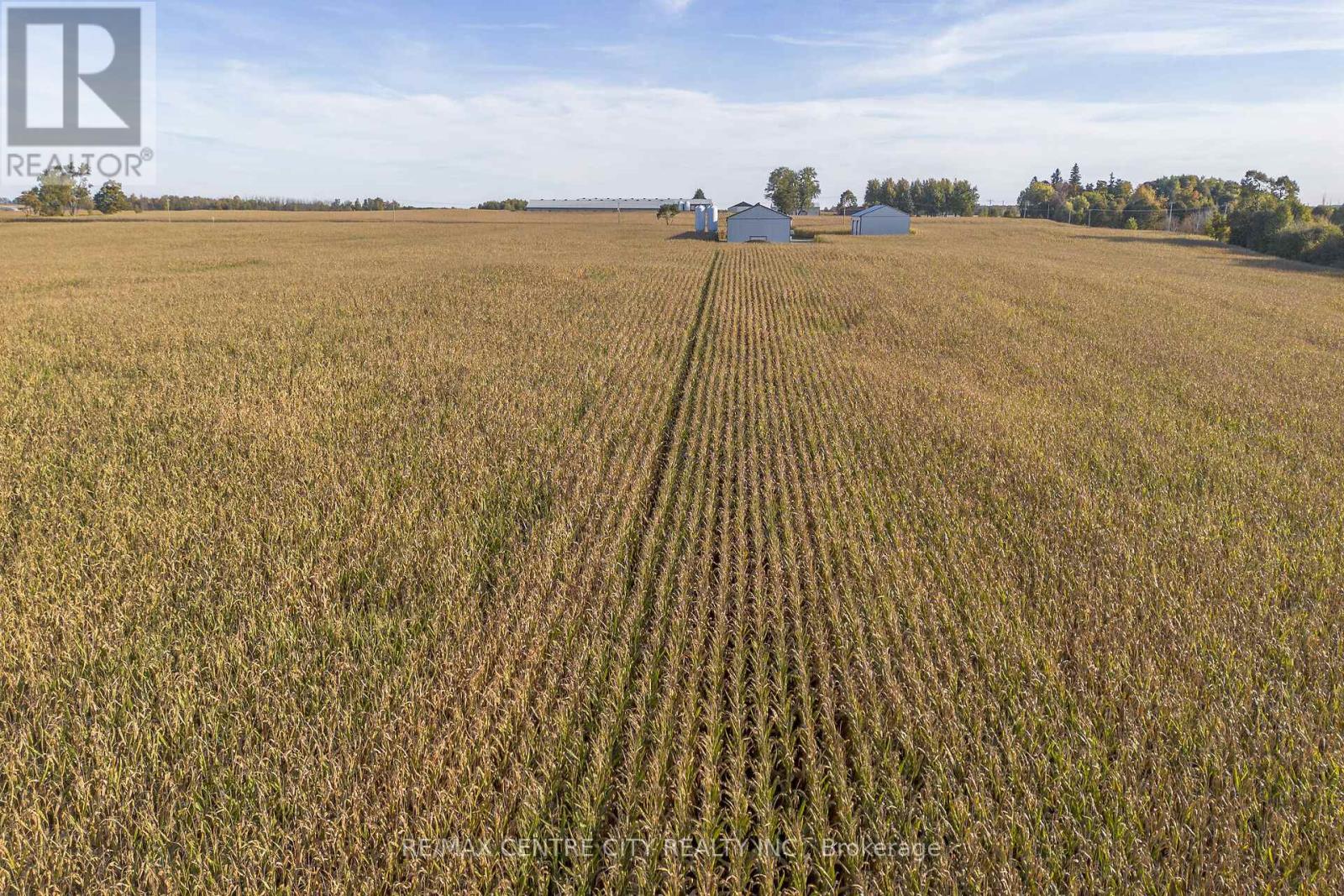 42783 Bridge Road, Huron East, Ontario  N0K 1W0 - Photo 20 - X12474593
