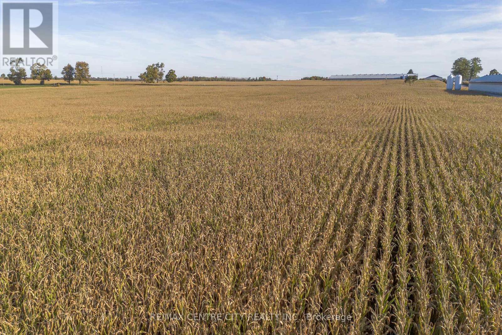 42783 Bridge Road, Huron East, Ontario  N0K 1W0 - Photo 21 - X12474593