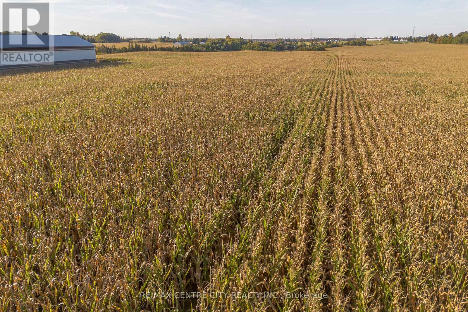 42783 Bridge Road, Huron East, Ontario  N0K 1W0 - Photo 27 - X12474593