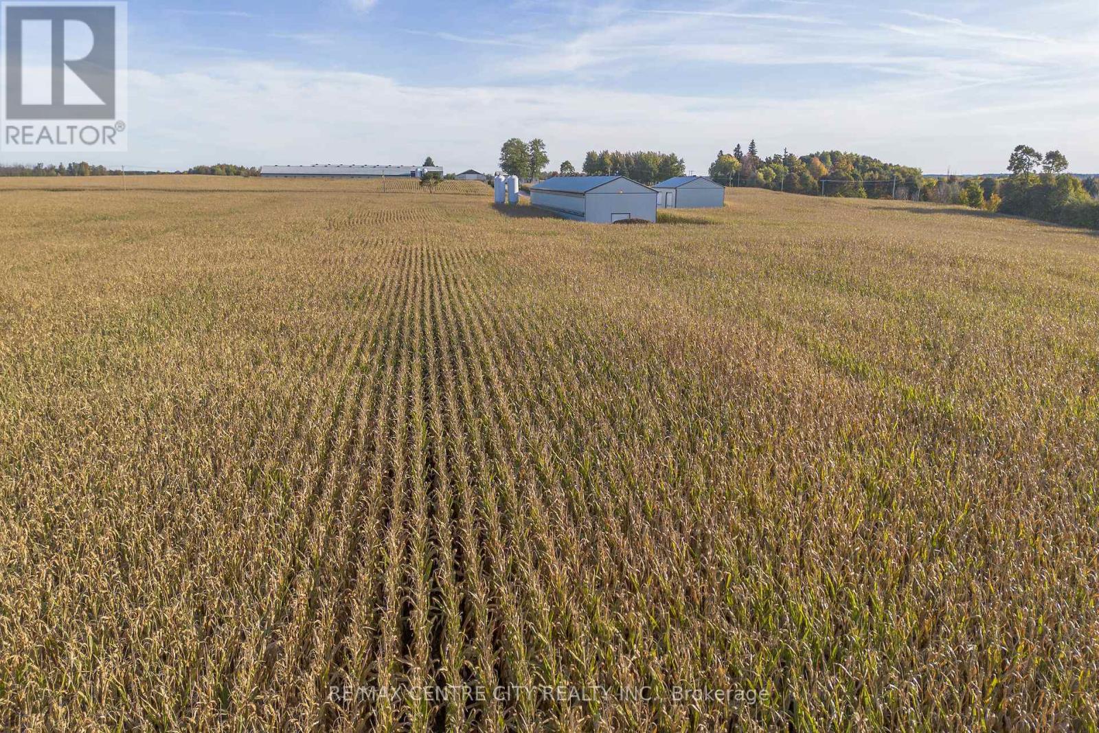 42783 Bridge Road, Huron East, Ontario  N0K 1W0 - Photo 28 - X12474593