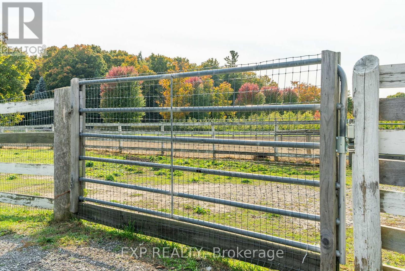 772 Townline Road W, Scugog, Ontario  L0B 1A0 - Photo 18 - E12474609