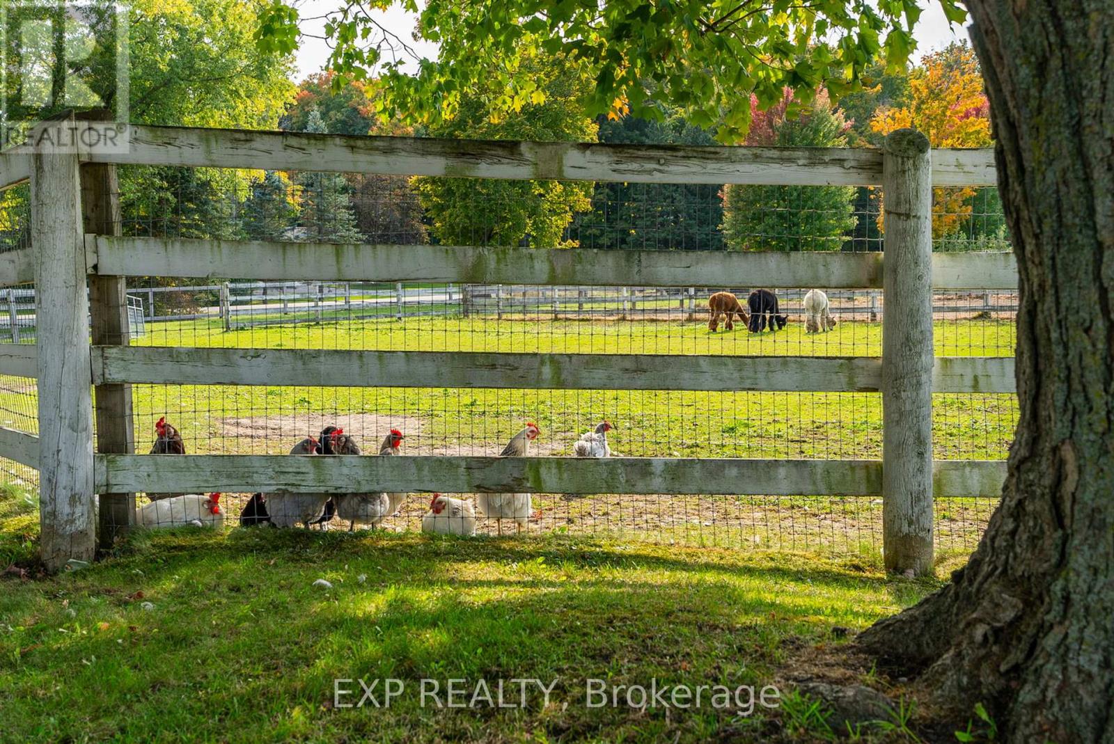 772 Townline Road W, Scugog, Ontario  L0B 1A0 - Photo 19 - E12474609