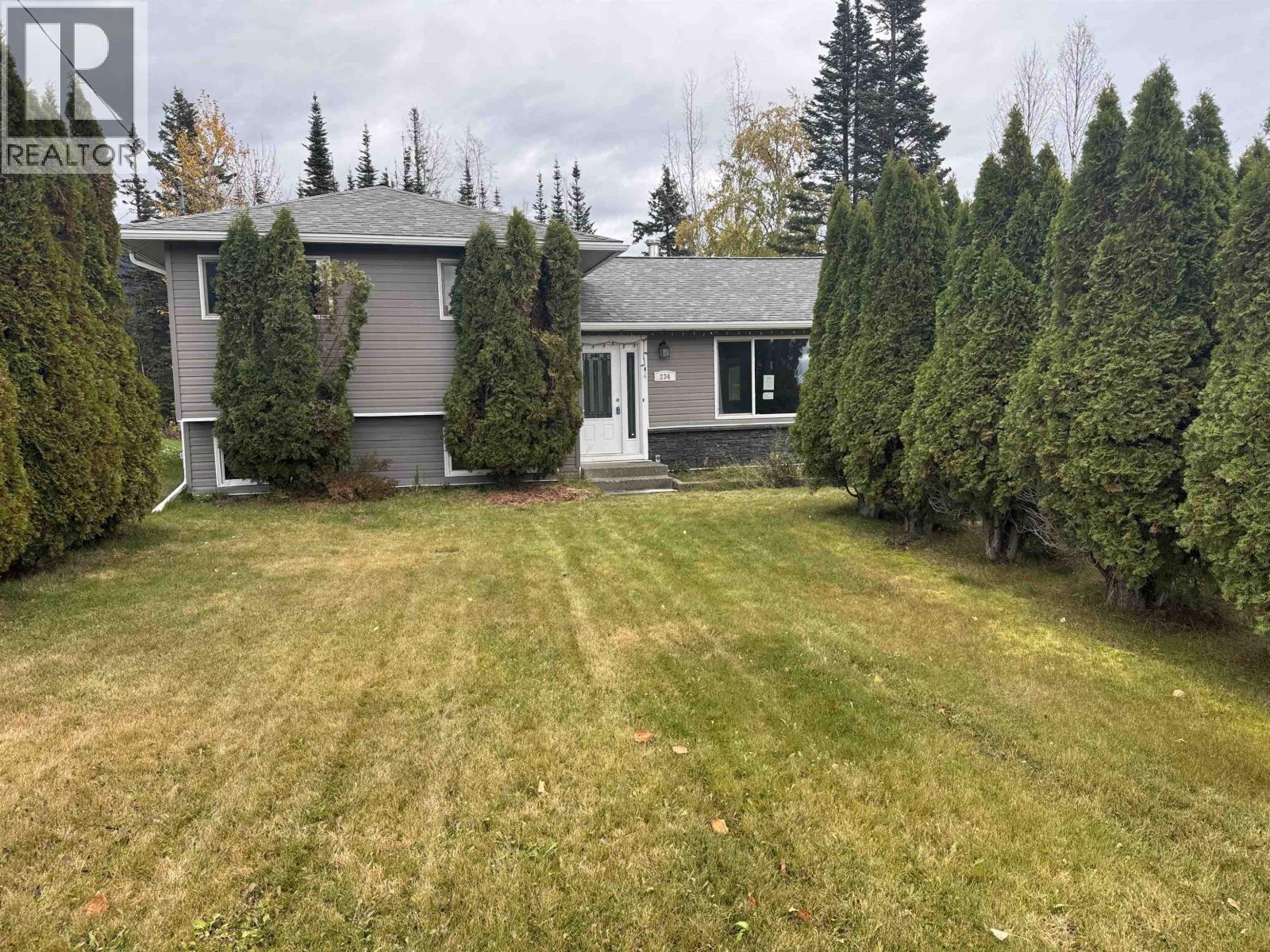 234 Centennial Drive, Mackenzie, British Columbia  V0J 2C0 - Photo 1 - R3060183